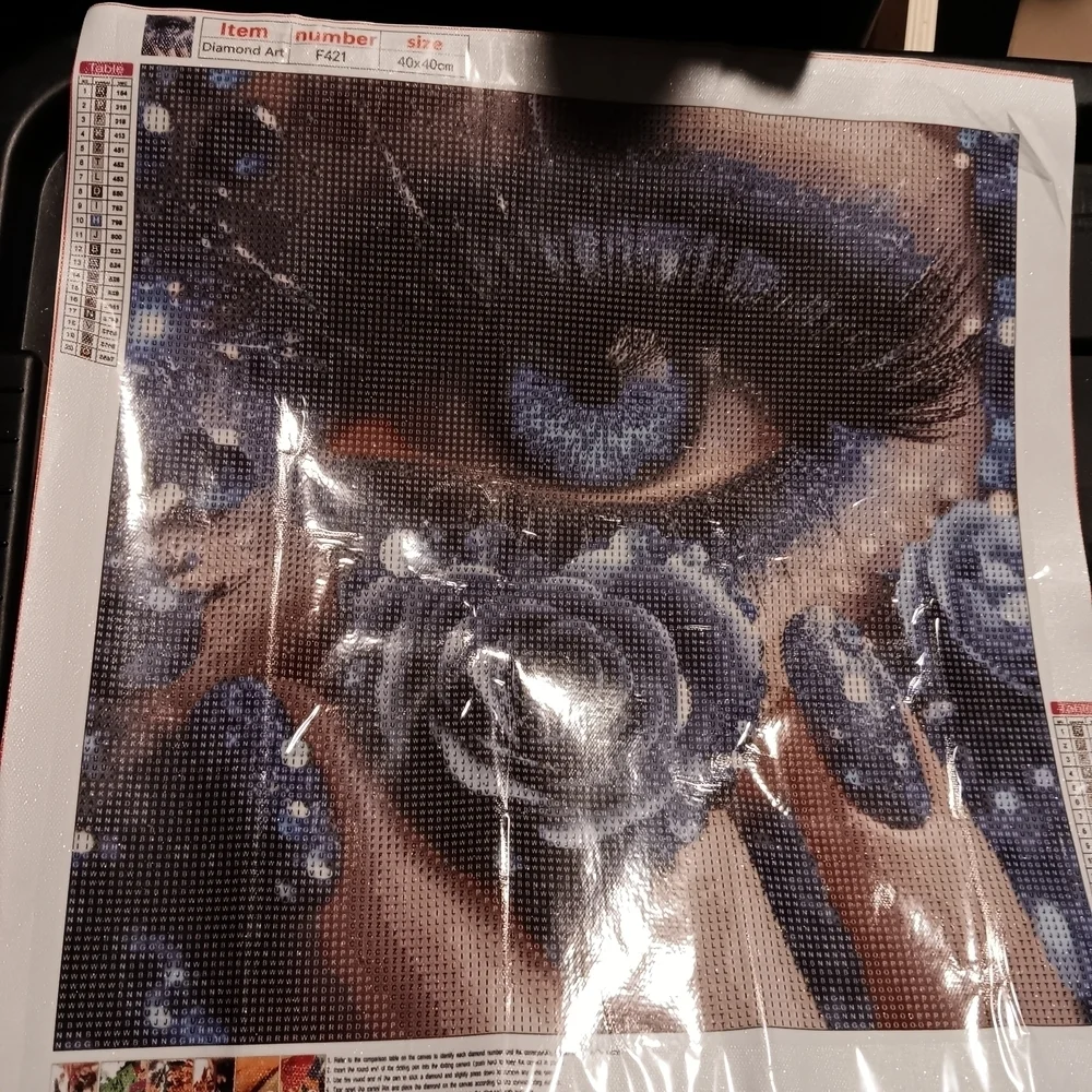 Blue Eye and Rose Diamond Art Painting Kit 40x40